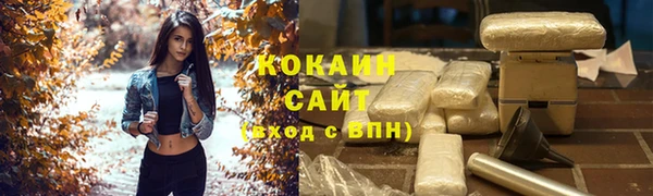шишки Алексеевка